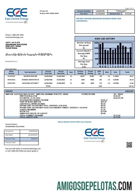 Em branco modelo de conta de serviços públicos de energia central leste de Minnesota dos EUA em formatos Word e PDF